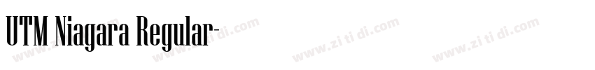 UTM Niagara Regular字体转换